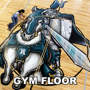 Eyeful Art Gym Floors